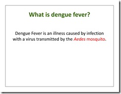 Dengue3