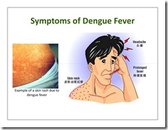 Dengue4